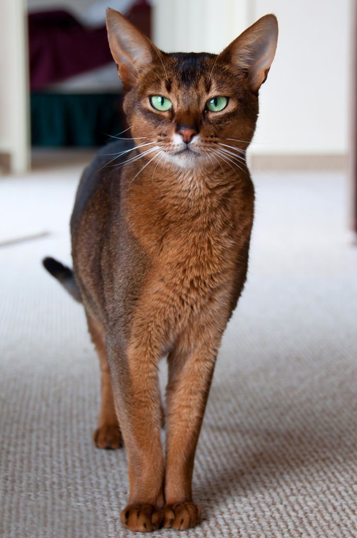 Zoe