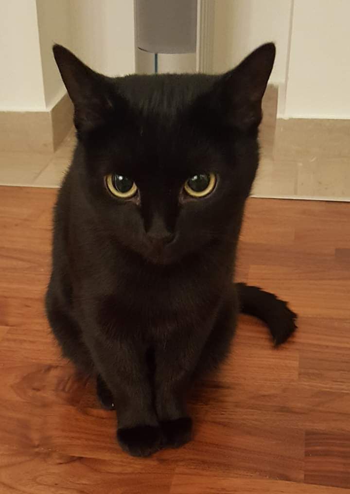 Nora