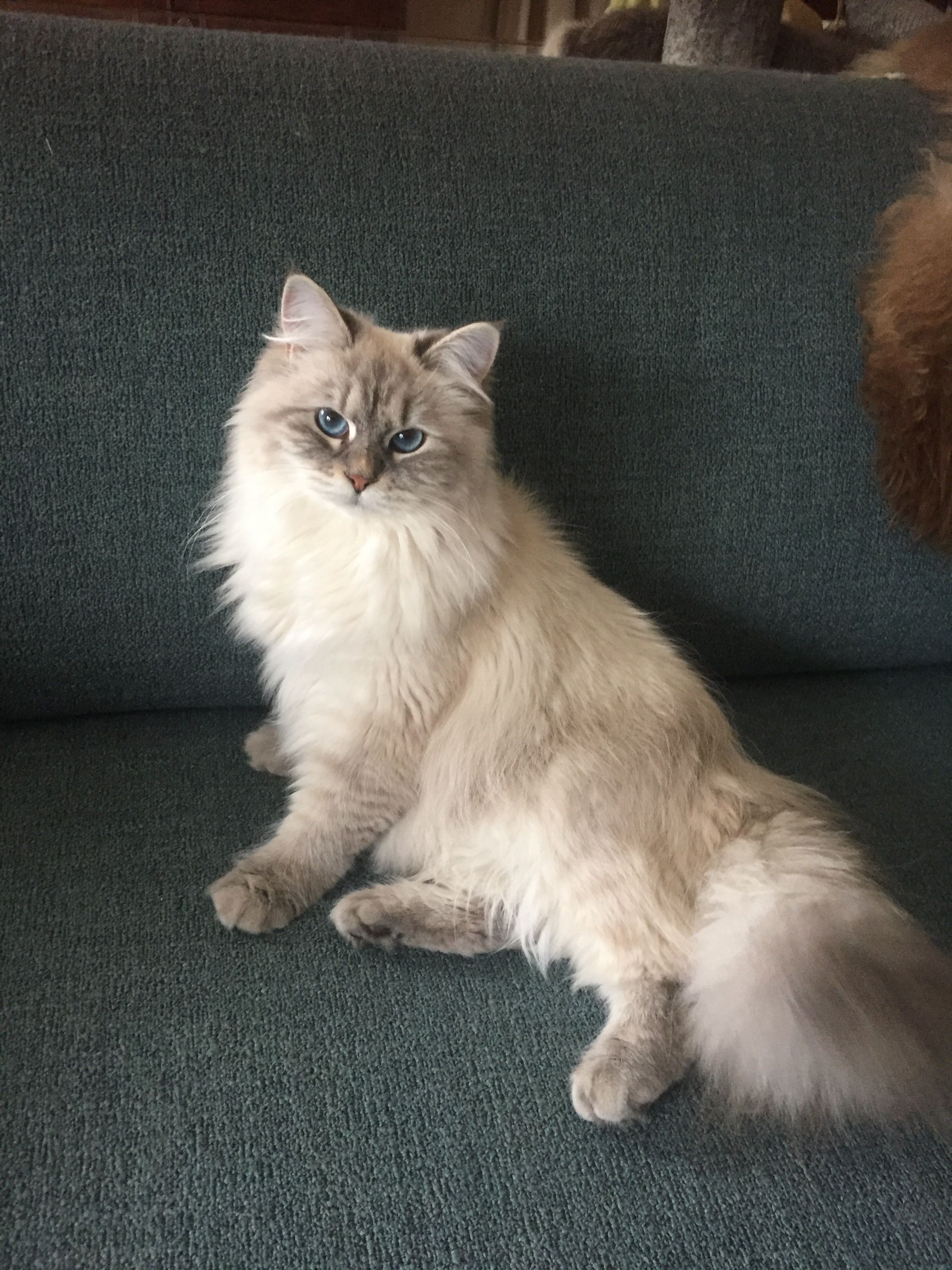 Lily