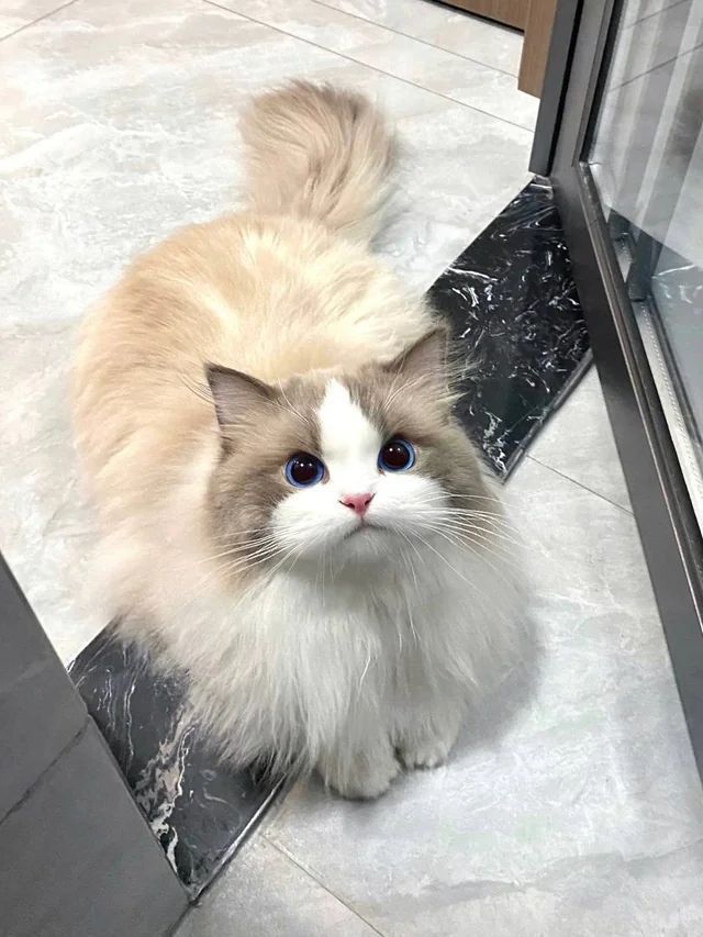 Minnie