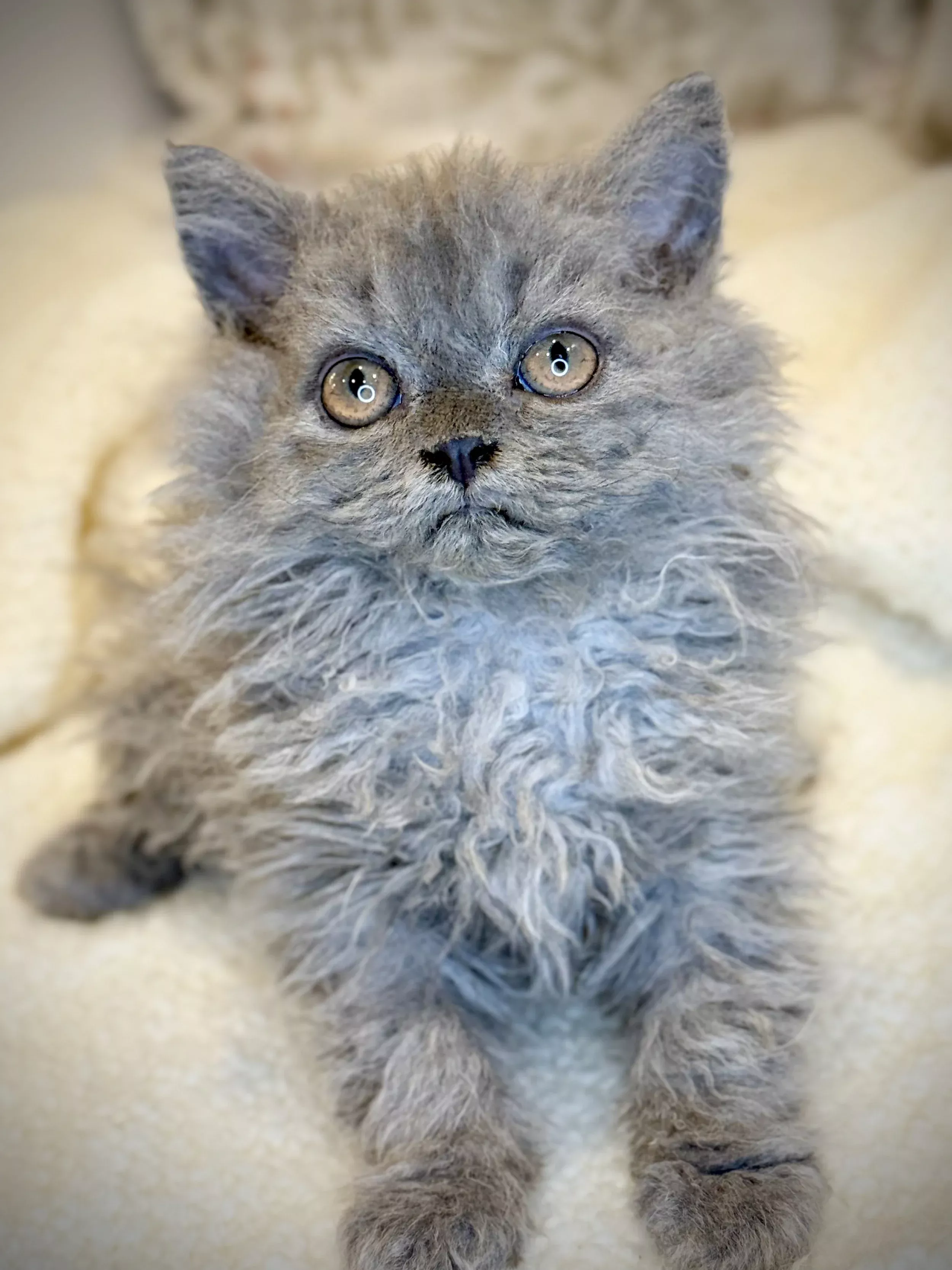 Zoe