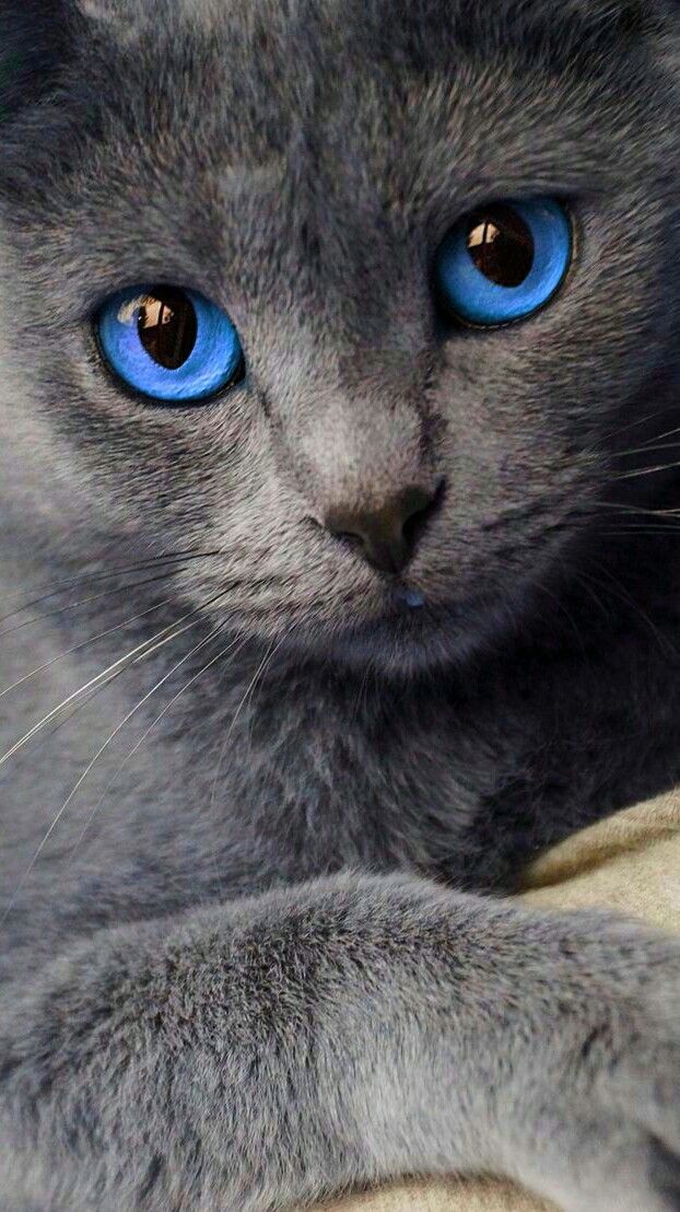 Topaz