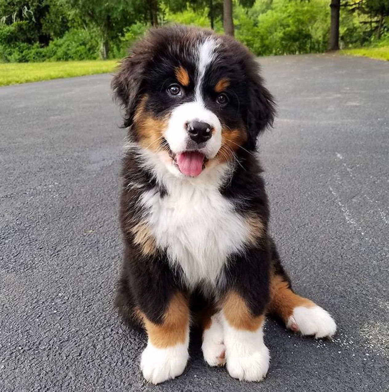 Maggie