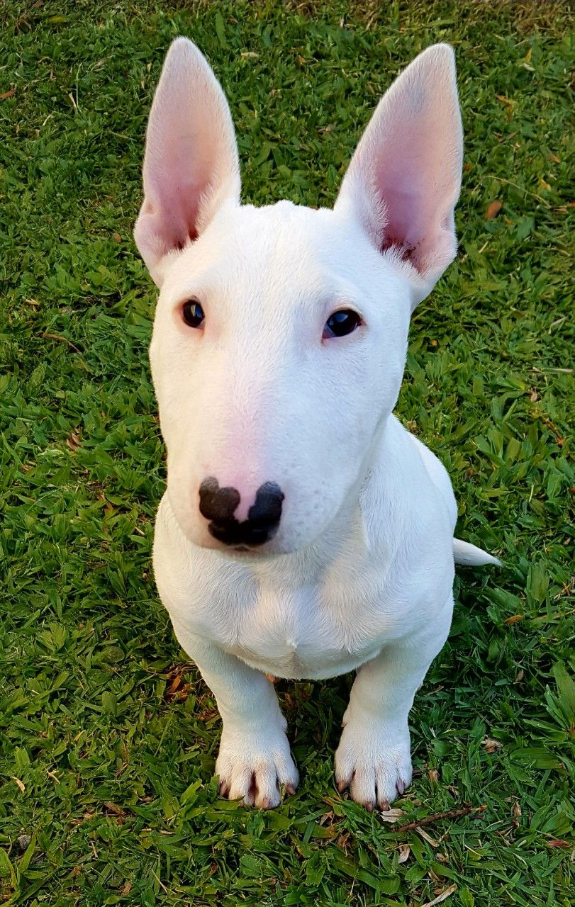 Chloe