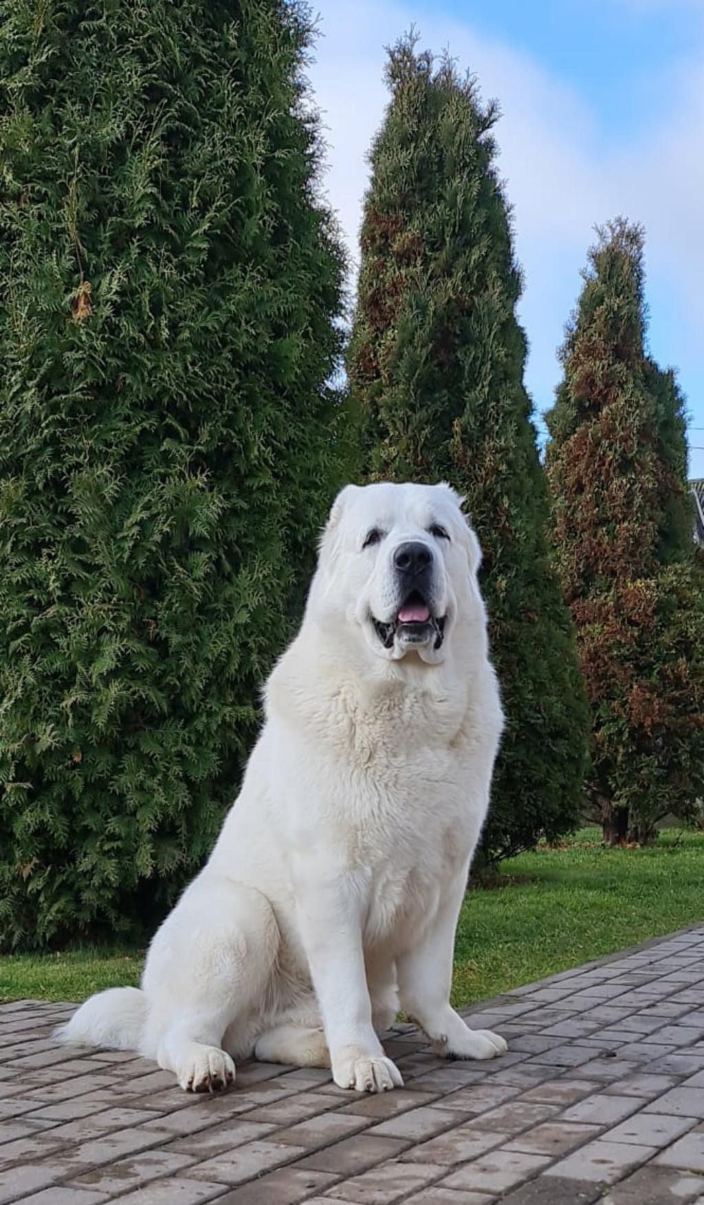 Benny