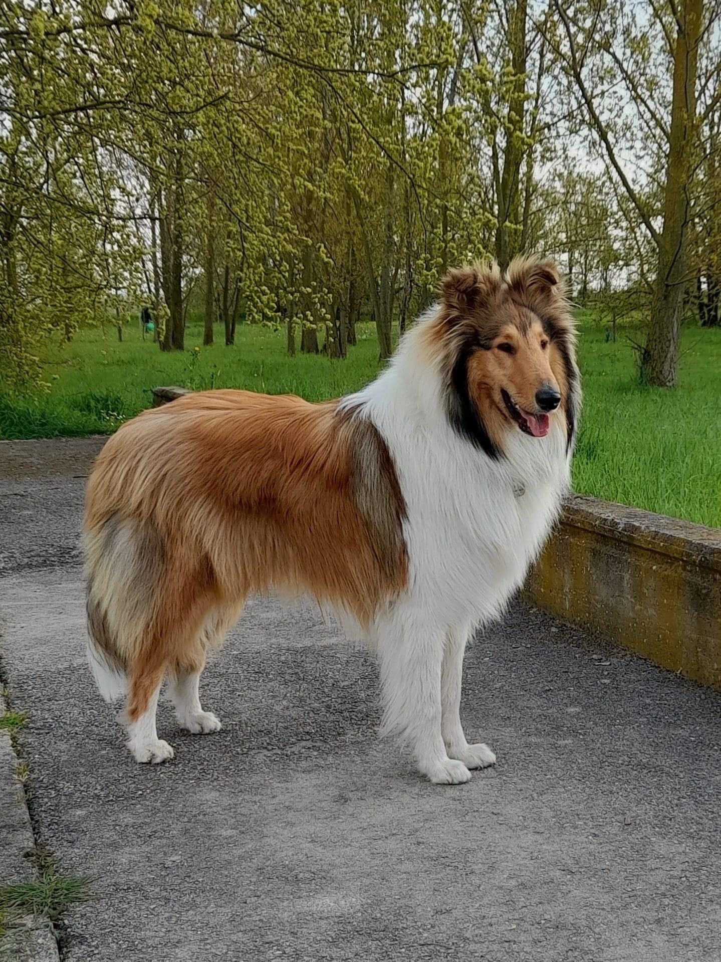 Duke