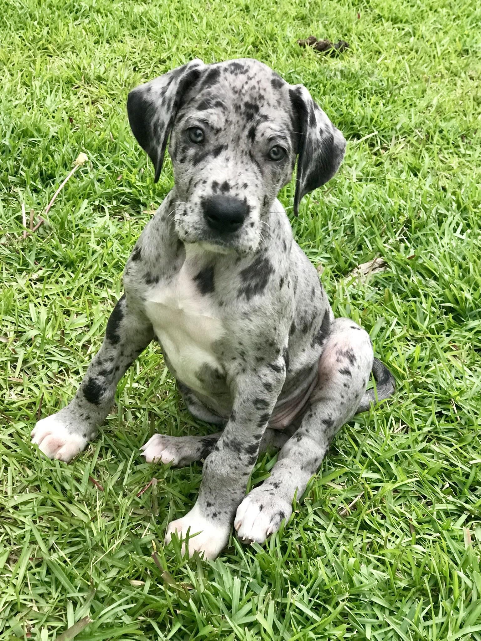 Benny