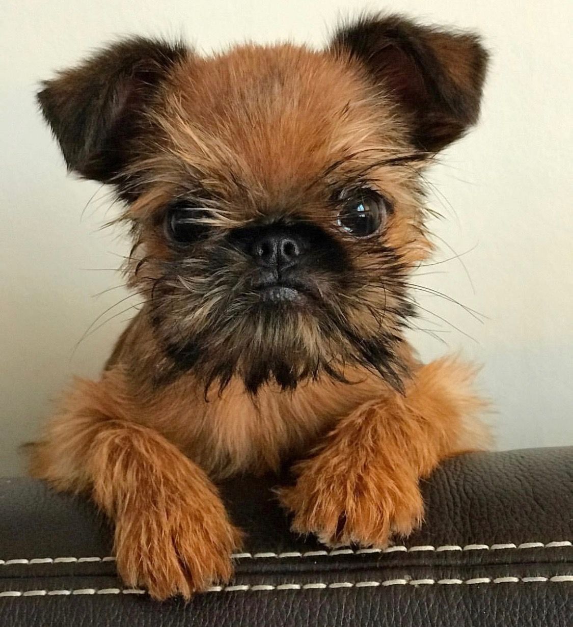 Marley