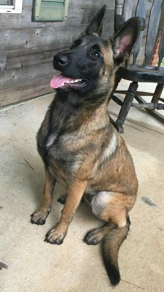 Mia