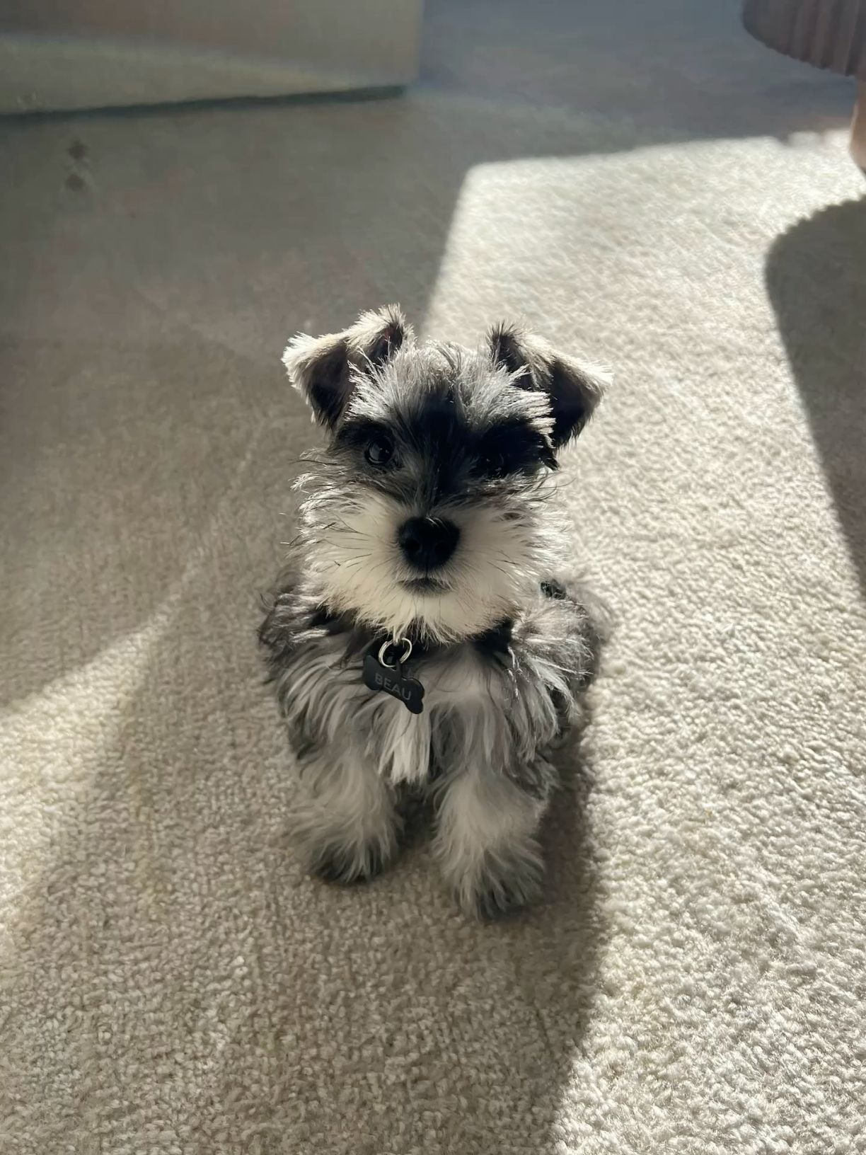 Benny