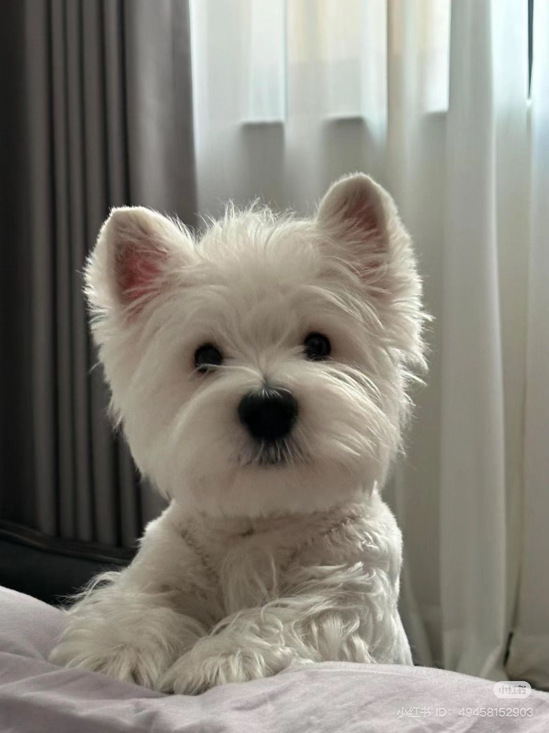 Charlie