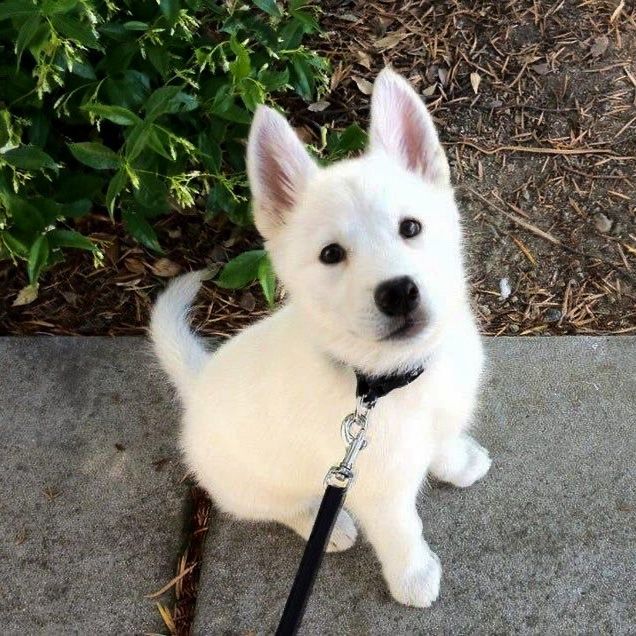 Casper